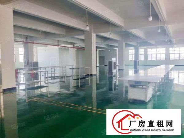  塘厦科苑城独院标准2楼1600平方！精装修！免装修