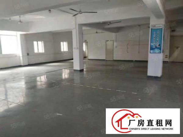  大坪高速出口原房东二楼950平方可拎包入驻