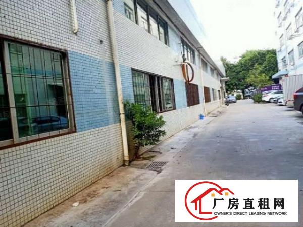 塘厦科苑城砖墙单一层850平方！滴水8米中间无柱子！可办环评