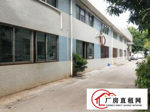  塘厦科苑城砖墙单一层850平方！滴水8米中间无柱子！可办环评