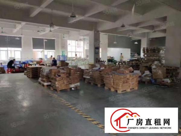  塘厦科苑城独院标准1楼1200平方！可装峰谷表！园区空地超大