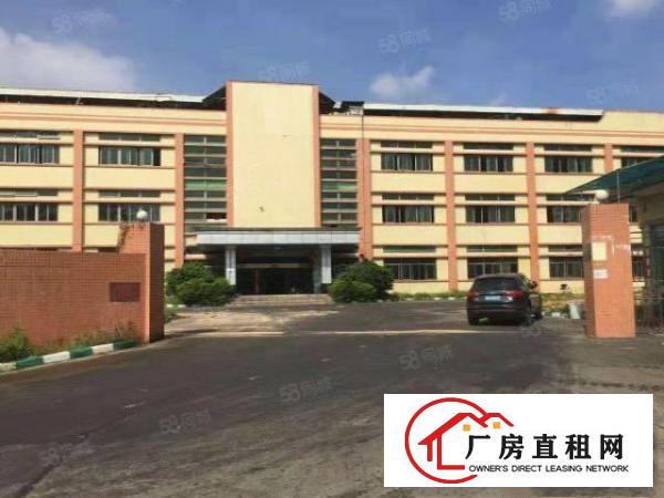  塘厦科苑城独院标准1楼1200平方！可装峰谷表！园区空地超大