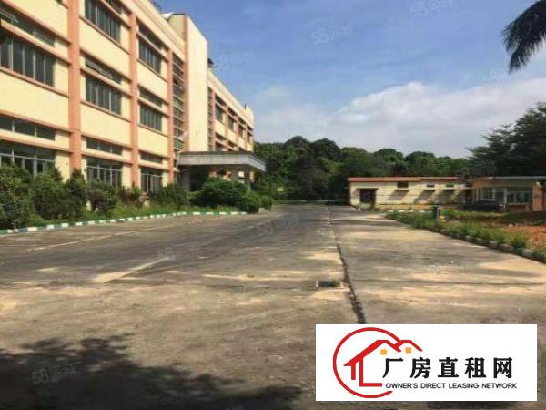  塘厦科苑城独院标准1楼1200平方！可装峰谷表！园区空地超大