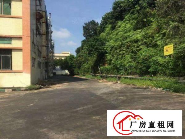  塘厦科苑城独院标准1楼1200平方！可装峰谷表！园区空地超大