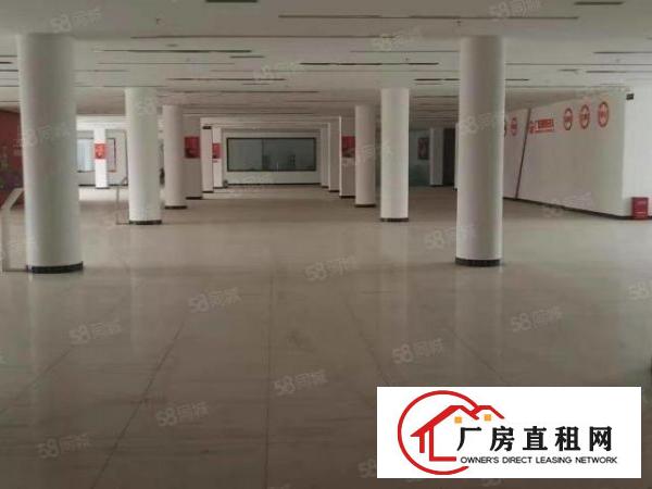  塘厦石潭浦独院厂房5700平低价甩租可分租空地超大