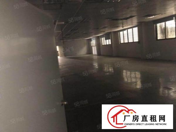  塘厦石潭浦独院厂房5700平低价甩租可分租空地超大