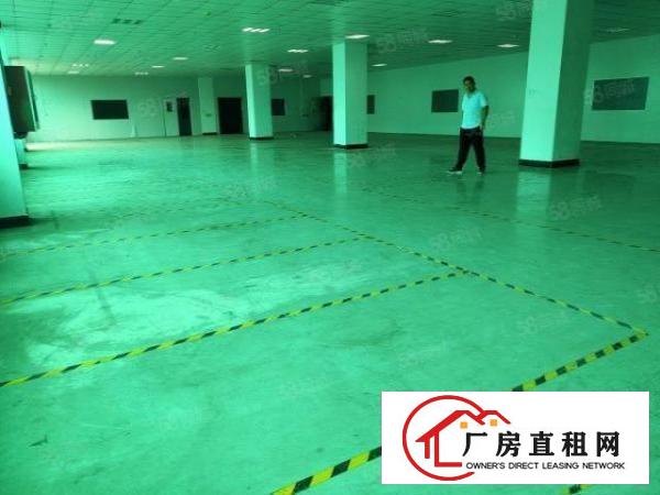  塘厦大坪高速出口新出标准厂房楼上1100平，现成精装修