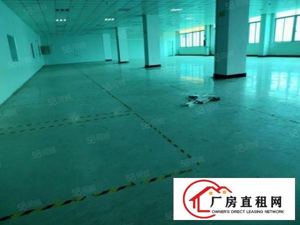  塘厦大坪高速出口新出标准厂房楼上1100平，现成精装修