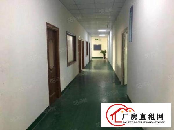  塘厦科苑城工业园新空1250平二楼豪华装修厂房，无转让费，已