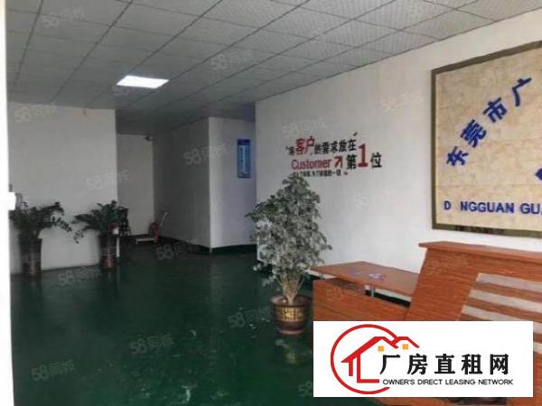  塘厦科苑城工业园新空1250平二楼豪华装修厂房，无转让费，已
