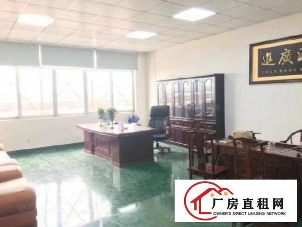  塘厦科苑城工业园新空1250平二楼豪华装修厂房，无转让费，已