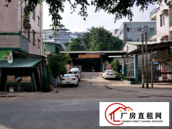  塘厦1000平钢构出租，经典小独院，交通方便靠路边，原房东