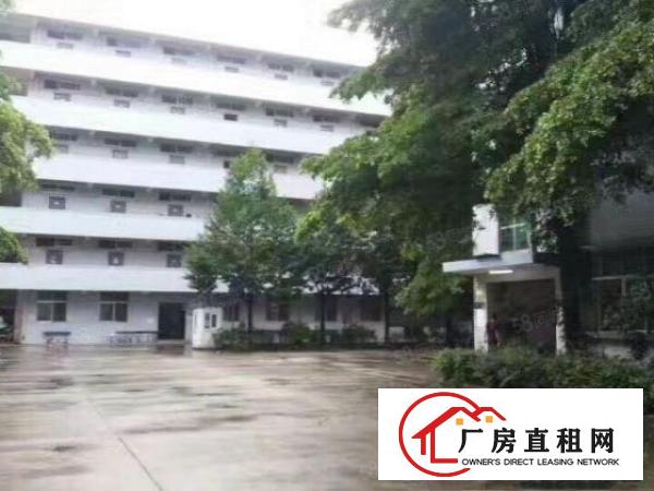  塘厦原房东分租标准一楼1700平米，带装修厂房，可拎包入驻