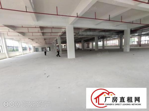 塘厦临深惊现全新厂房44000可做孵化器高新产业火爆抢租