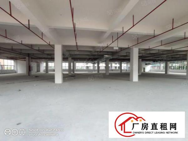  塘厦临深惊现全新厂房44000可做孵化器高新产业火爆抢租