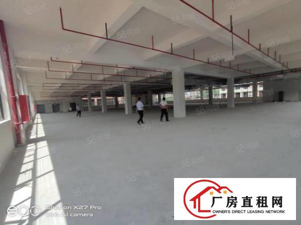  塘厦临深惊现全新厂房44000可做孵化器高新产业火爆抢租