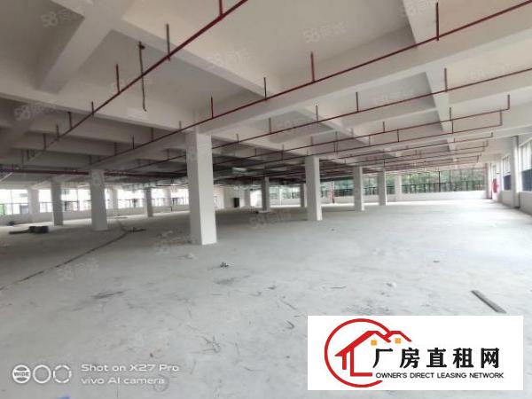  塘厦临深惊现全新厂房44000可做孵化器高新产业火爆抢租