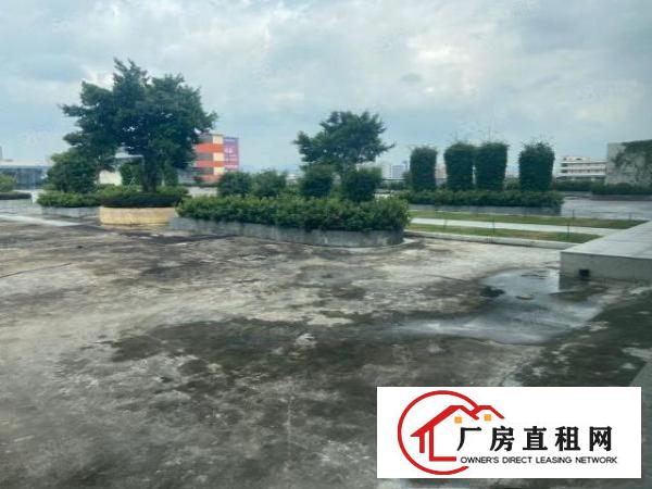  塘厦蛟乙塘700平厂房办公室出租！可电商小加工进装修干净整洁