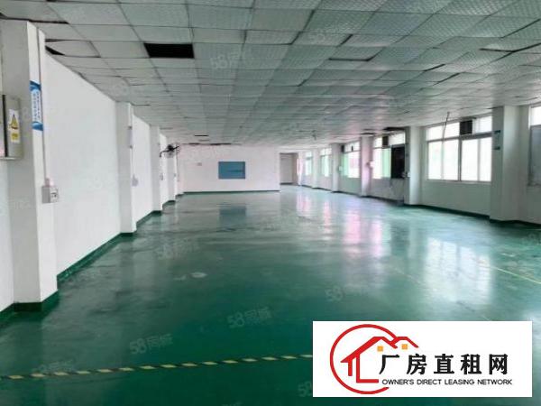  塘厦林村新亚洲工业区精装修独栋厂房750平方