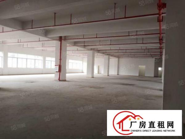  塘厦沙湖近桂花，大坪高速口，独栋2楼厂房800平出租