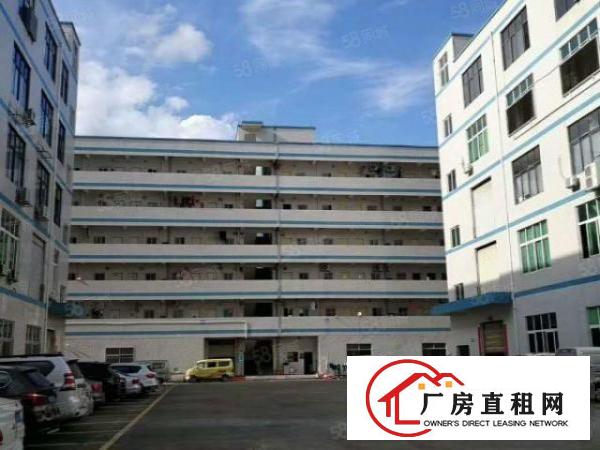  塘厦诸佛岭独院标准2楼1100平方！干净整洁现成装修实拍视频