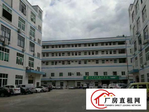  塘厦诸佛岭独院标准2楼1100平方！干净整洁现成装修实拍视频