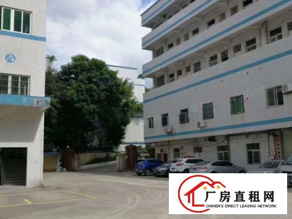  塘厦诸佛岭独院标准2楼1100平方！干净整洁现成装修实拍视频