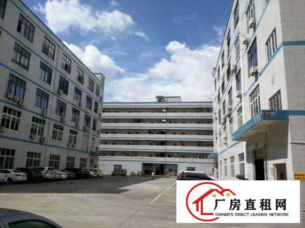  塘厦诸佛岭独院标准2楼1100平方！干净整洁现成装修实拍视频