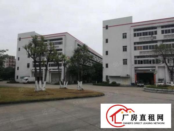  塘厦科苑城标准1楼300平方！现成主线！适合小加工行业