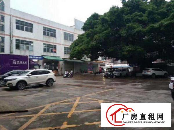  塘厦清湖头一楼厂房750平带豪华装修出租，有办公室，水电到位