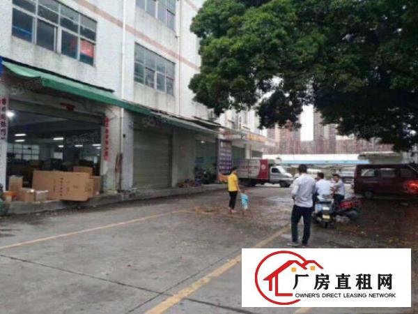  塘厦清湖头一楼厂房750平带豪华装修出租，有办公室，水电到位