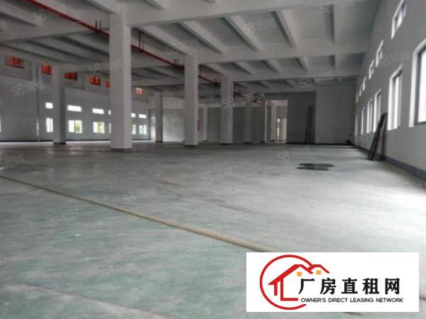  塘厦林村工业园1200平全新厂房出租交通便利形象好配套齐全