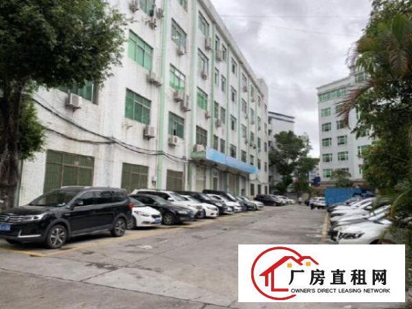  塘厦莆心湖工业园一楼新空1200平厂房，面积实在形象好空地大