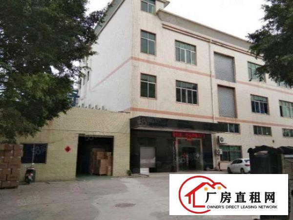  塘厦科苑城标准1楼450平方！可装峰谷表!可办环评