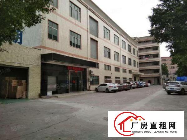 塘厦科苑城标准1楼450平方！可装峰谷表!可办环评