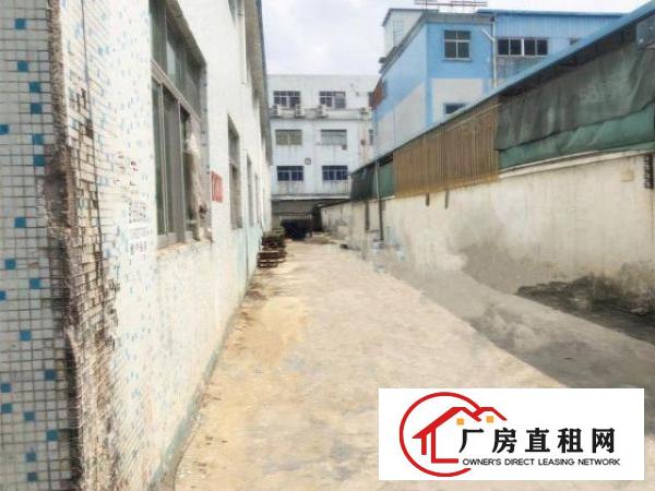  龙背岭实业带牛角厂房房东分租1200平，价格面谈