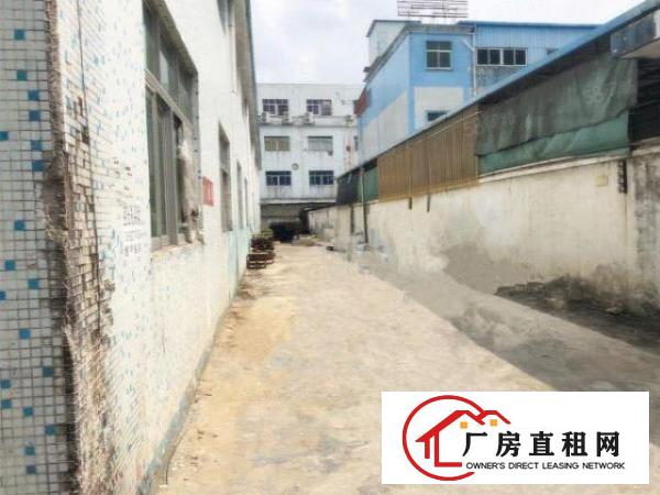  龙背岭实业带牛角厂房房东分租1200平，价格面谈