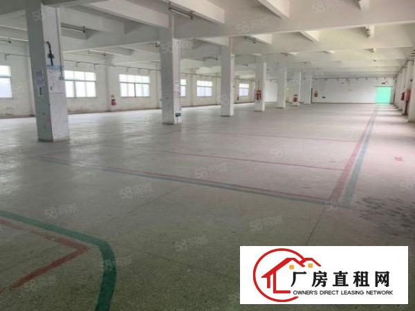  塘厦大坪高速出口2公里新出原房东独院8000平方（可分租）