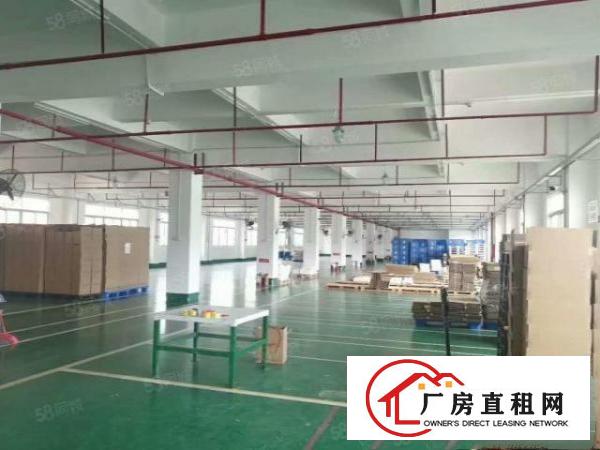  塘厦横塘原房东独院7500平方！花园式形象靓丽带红本
