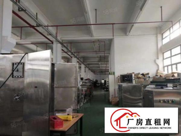  塘厦沙湖2600平厂房仓库出租！1楼带牛角6米高，空地大招租