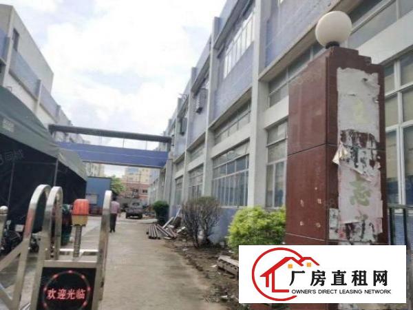  塘厦沙湖2600平厂房仓库出租！1楼带牛角6米高，空地大招租