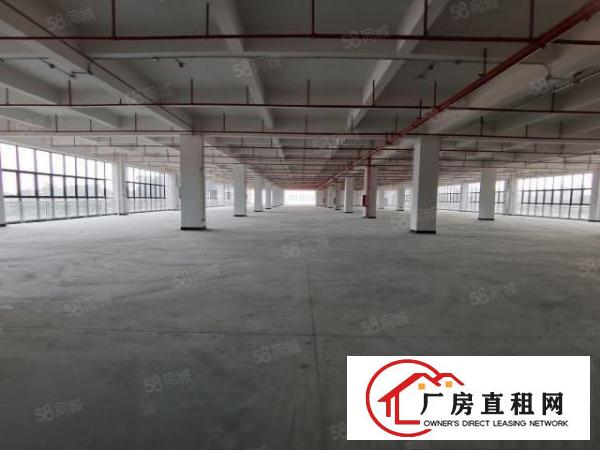 塘厦沙湖原房东独栋厂房12000平出租，一楼7米高丙二类消防