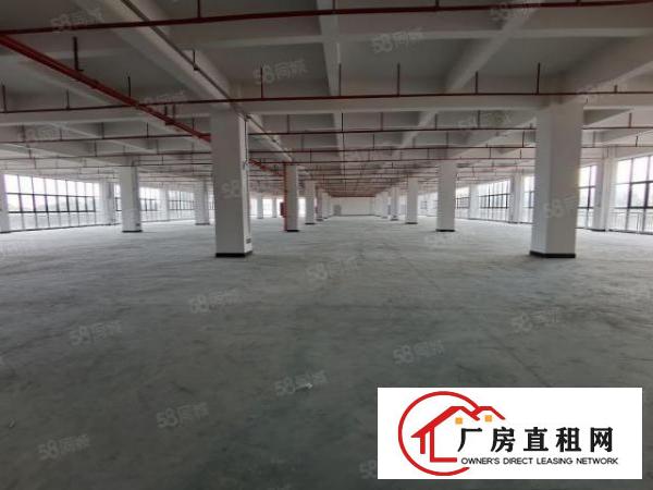  塘厦沙湖原房东独栋厂房12000平出租，一楼7米高丙二类消防