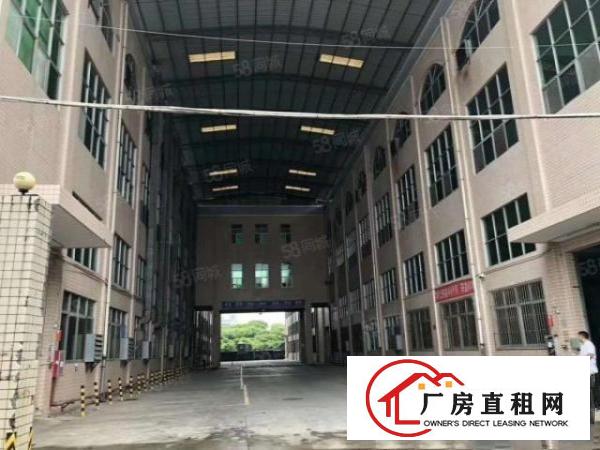  塘厦沙湖原房东独栋厂房12000平出租，一楼7米高丙二类消防