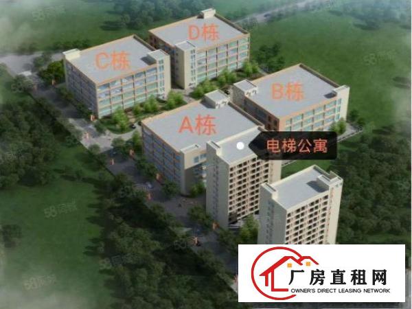  带红本！塘厦大坪高速口32000平厂房出租！每栋8000平！