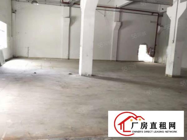  塘厦莆心湖标准1楼厂房600平，实际面积，位置好，近主干道