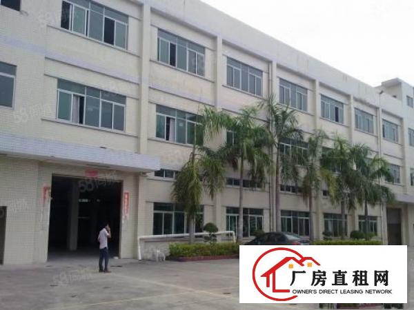  塘厦莆心湖标准1楼厂房600平，实际面积，位置好，近主干道