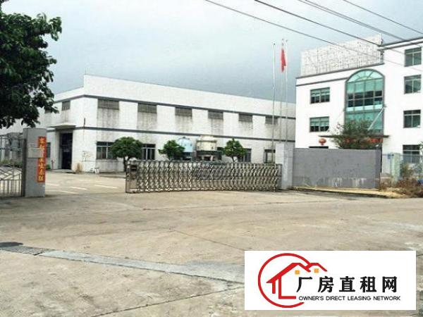  临深外环带独立写字楼超靓3600单一层标准厂房交通便利