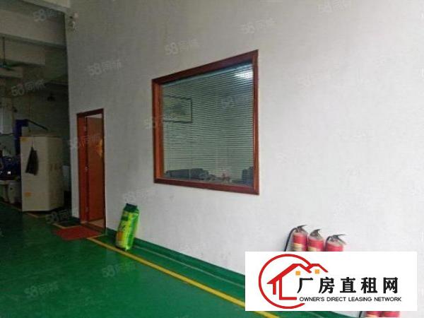  塘厦振兴围工业区独院一楼厂房500平出租，办公室水电装修都有