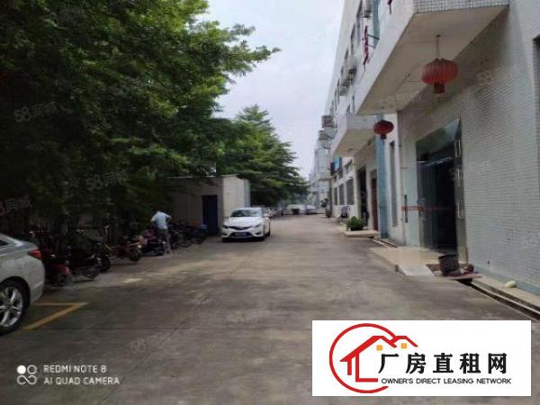  出租|塘厦林村标准厂房1380平带现成精装豪办公室